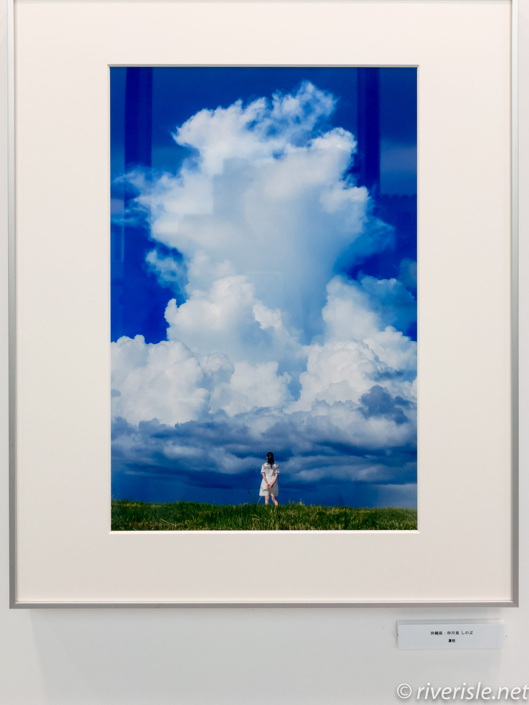 どーんと大きな入道雲の下に、後ろ姿の少女の仲井真さんの作品
